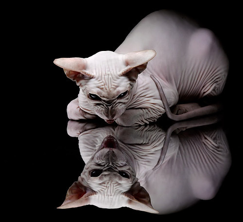 中国足球在东亚杯中夺冠 热血战斗令人感动，东亚杯中国战绩