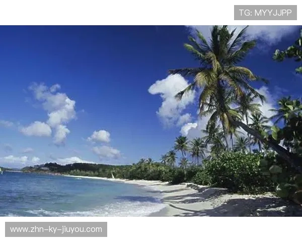 安提瓜跳水队在国际比赛中表现亮眼，安提瓜投资移民